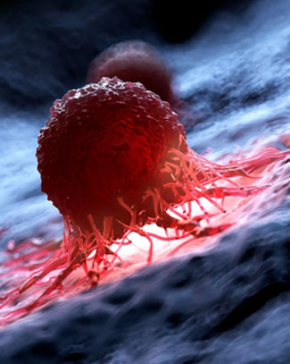 Can Heating Pads Cause Cancer?