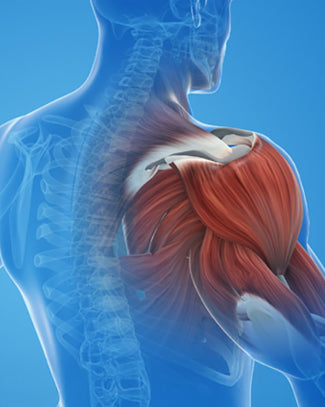 Round Shoulders: Causes, Risk Factors, and Exercises